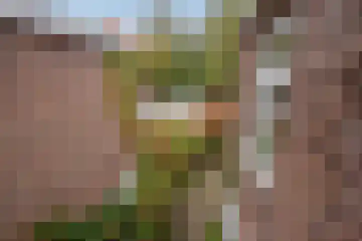 Piet Heinstraat 1 B Delft thumbnail 19