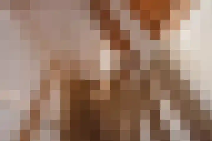 Piet Heinstraat 1 B Delft thumbnail 22