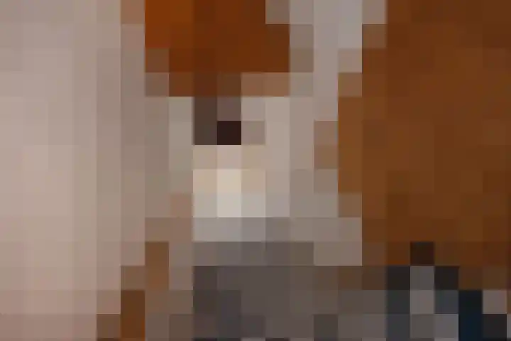 Piet Heinstraat 1 B Delft thumbnail 6