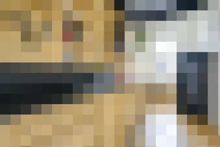 Piet Heinstraat 1 BSA Utrecht thumbnail 17
