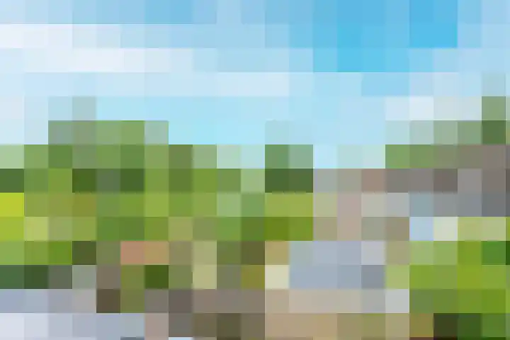 Piet Heinstraat 1 BSA Utrecht thumbnail 31