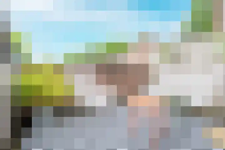 Piet Heinstraat 1 BSA Utrecht thumbnail 4