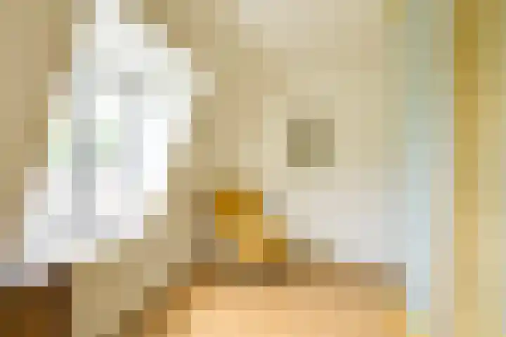 Piet Heinstraat 1 BSA Utrecht thumbnail 7