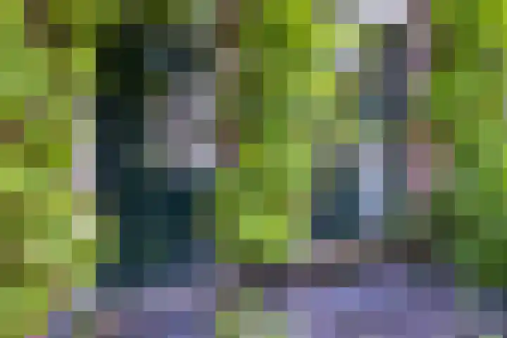 Piet Heinstraat 1 BSA Utrecht thumbnail 8