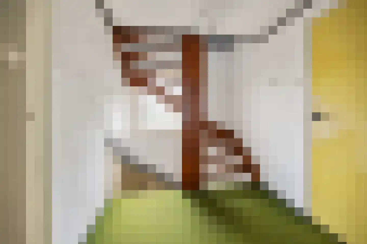 Piet Heinstraat 1 Druten thumbnail 18