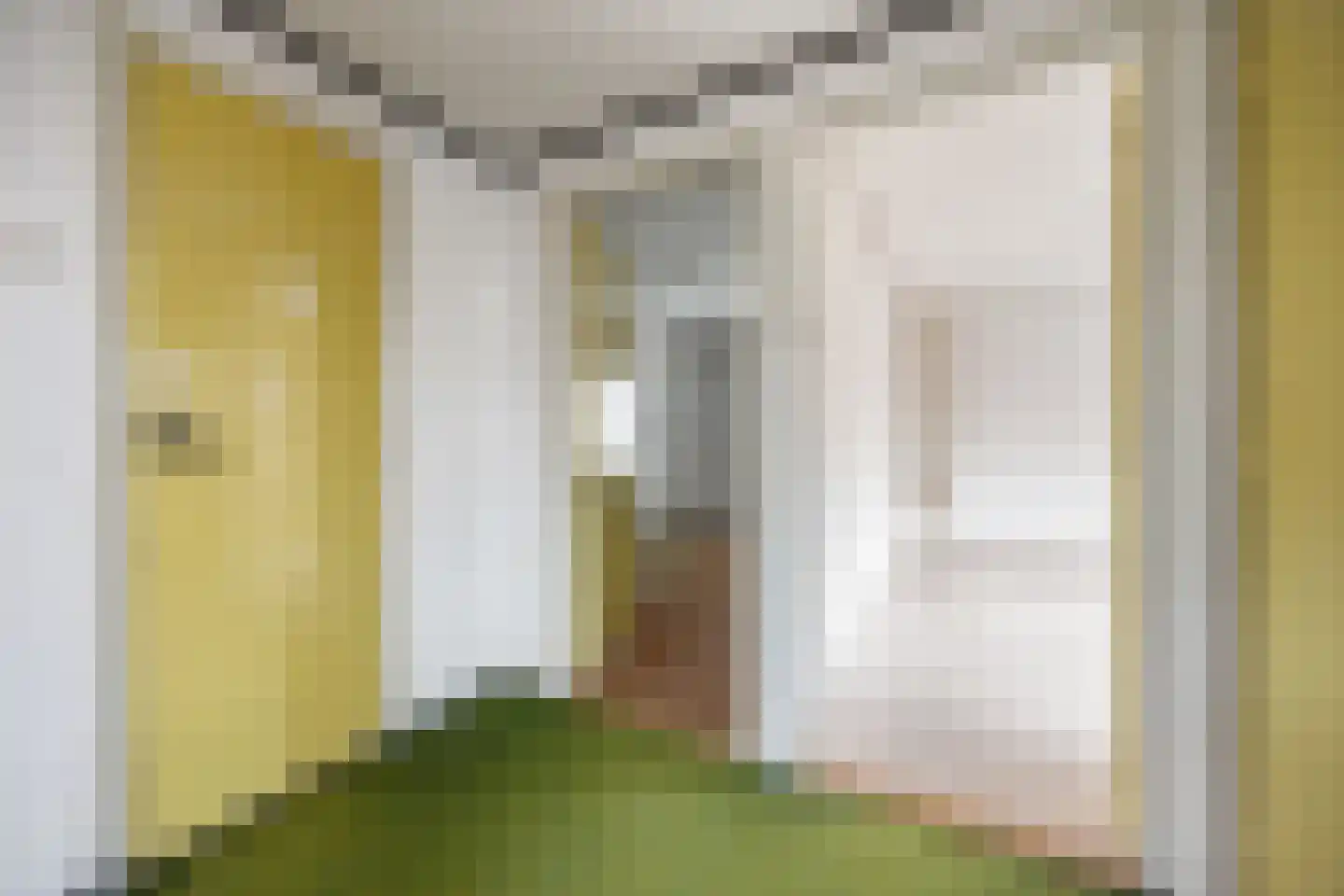 Piet Heinstraat 1 Druten thumbnail 19