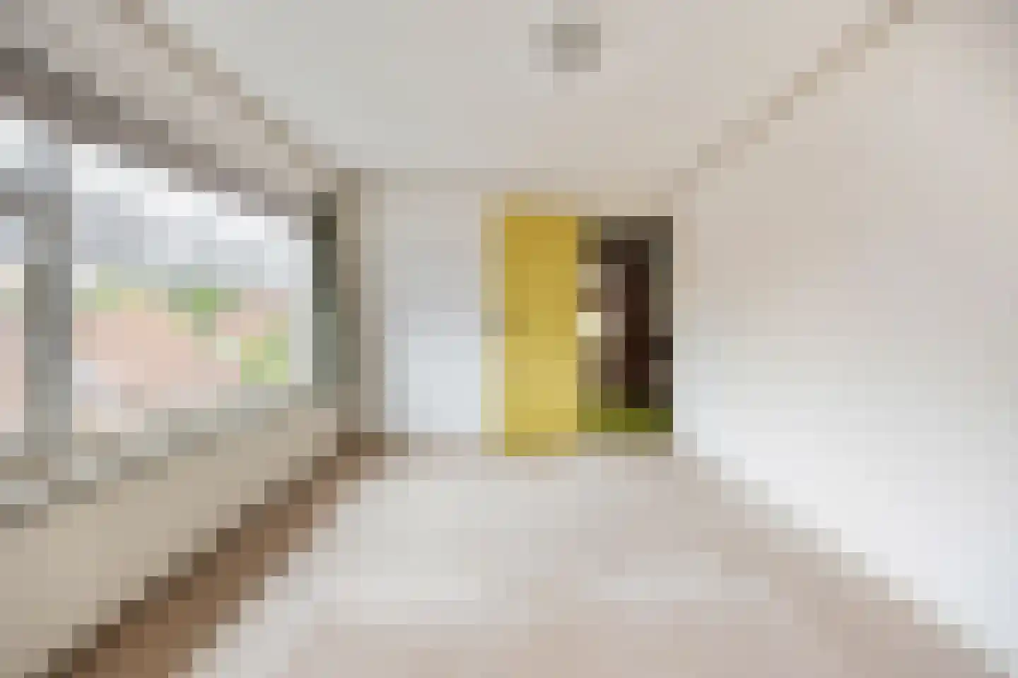 Piet Heinstraat 1 Druten thumbnail 21