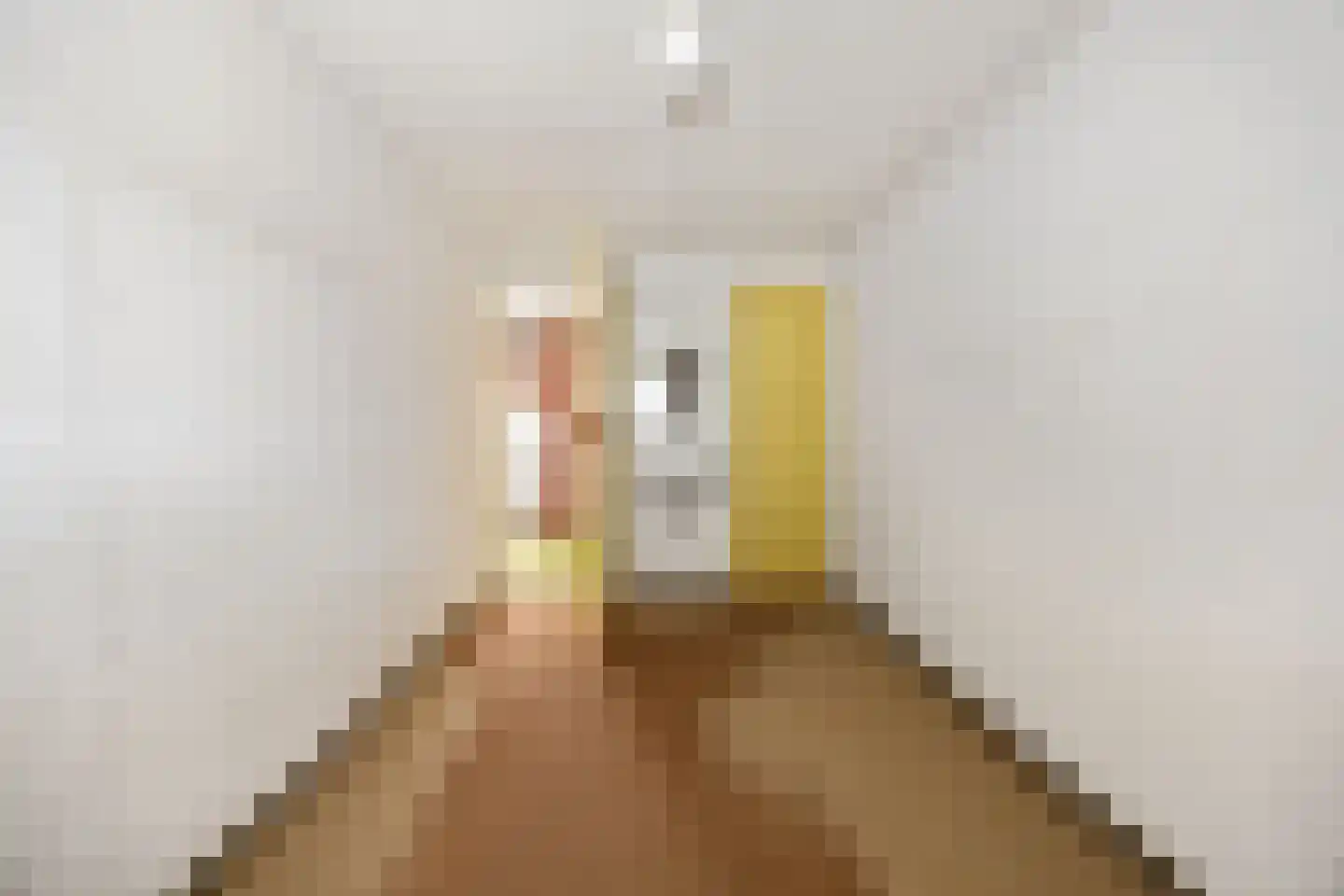 Piet Heinstraat 1 Druten thumbnail 23