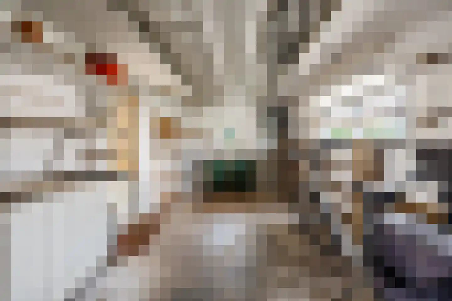 Piet Heinstraat 1 Druten thumbnail 36