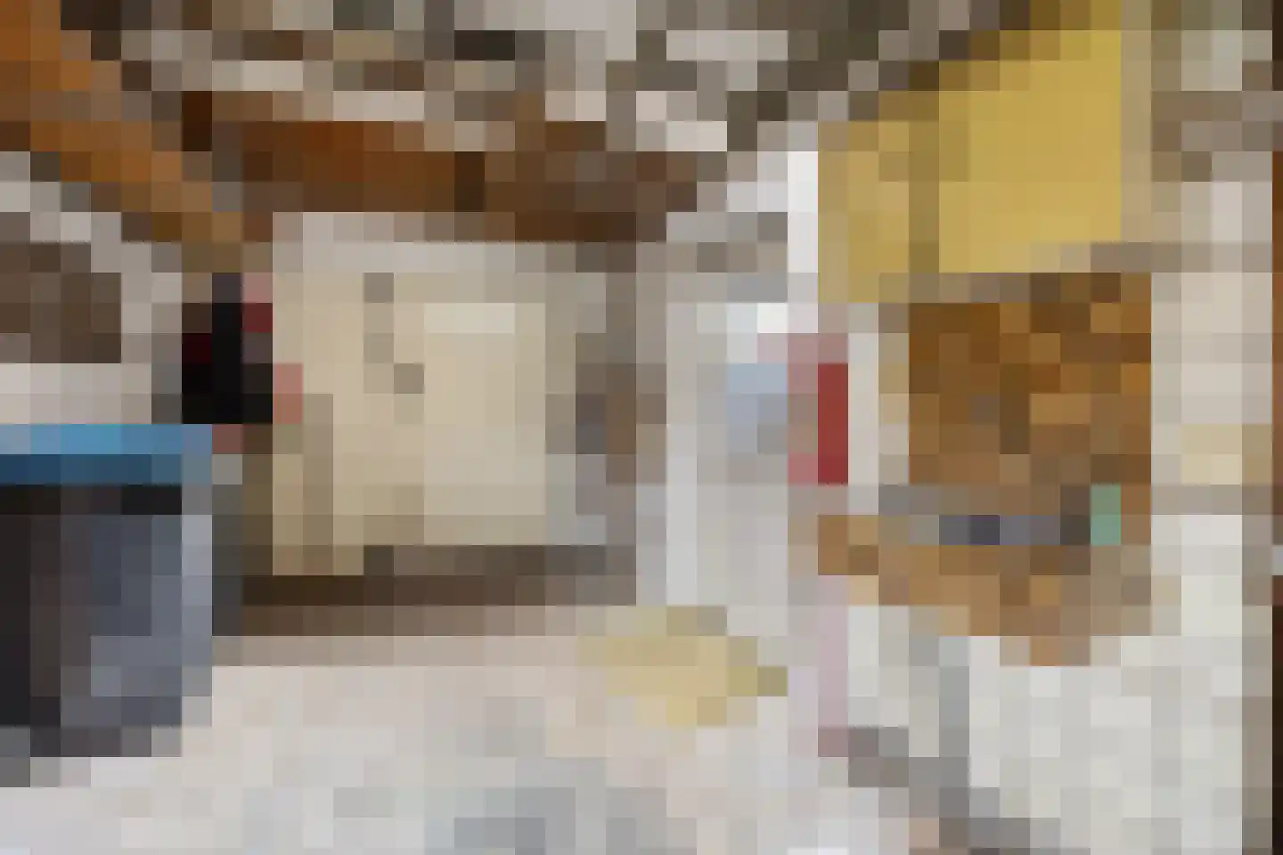 Piet Heinstraat 1 Druten thumbnail 38