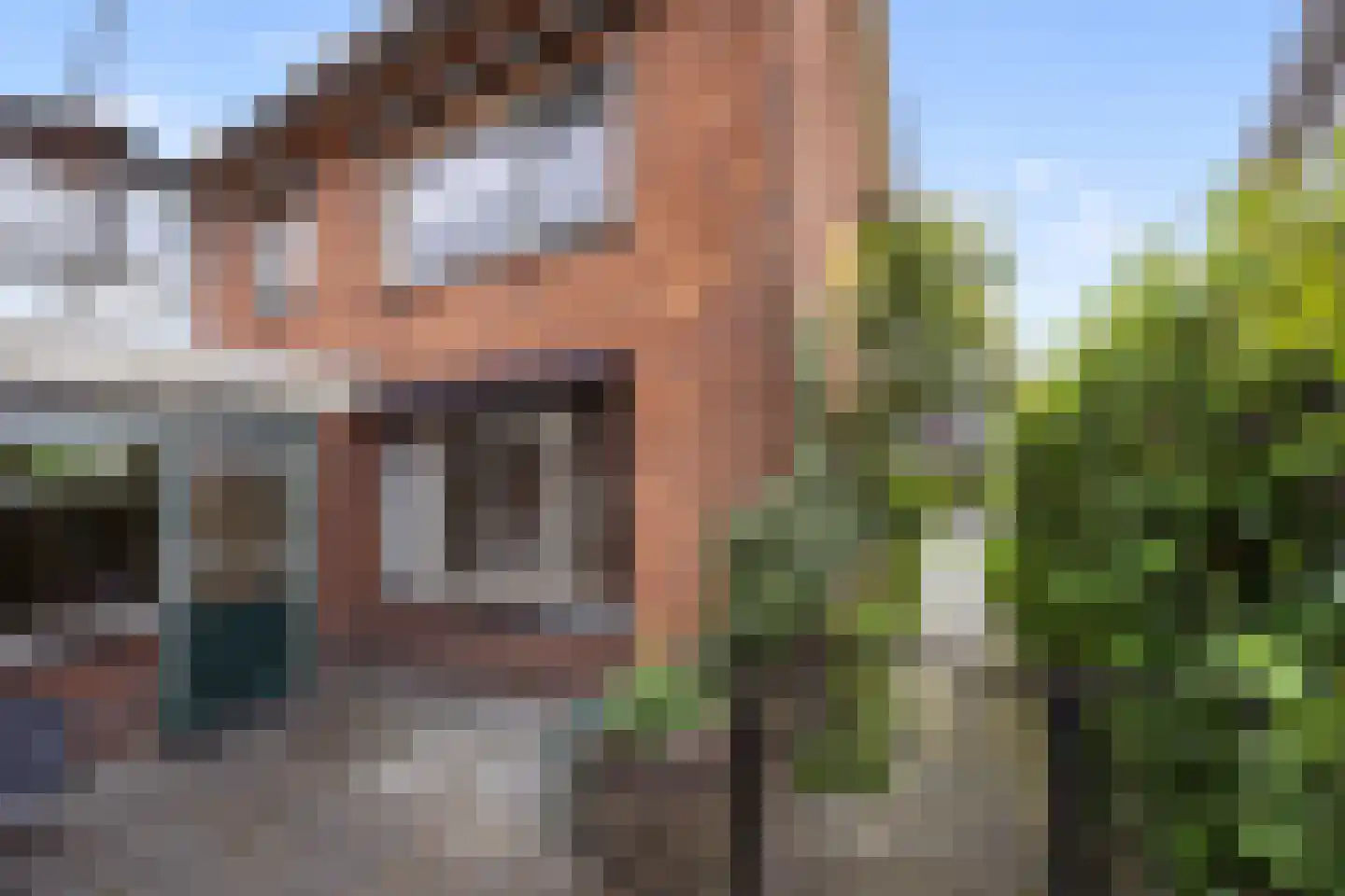 Piet Heinstraat 1 Druten thumbnail 4