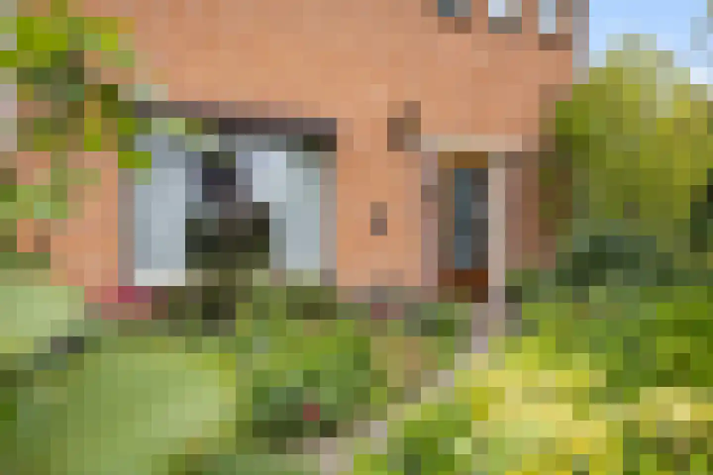 Piet Heinstraat 1 Druten thumbnail 44
