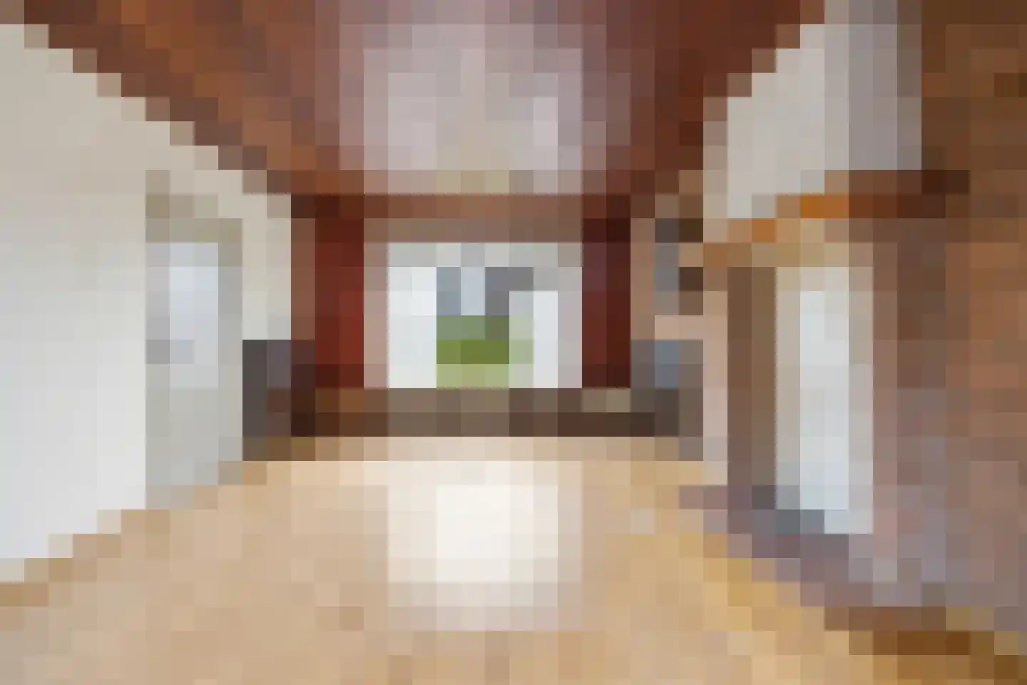 Piet Heinstraat 1 Druten thumbnail 5