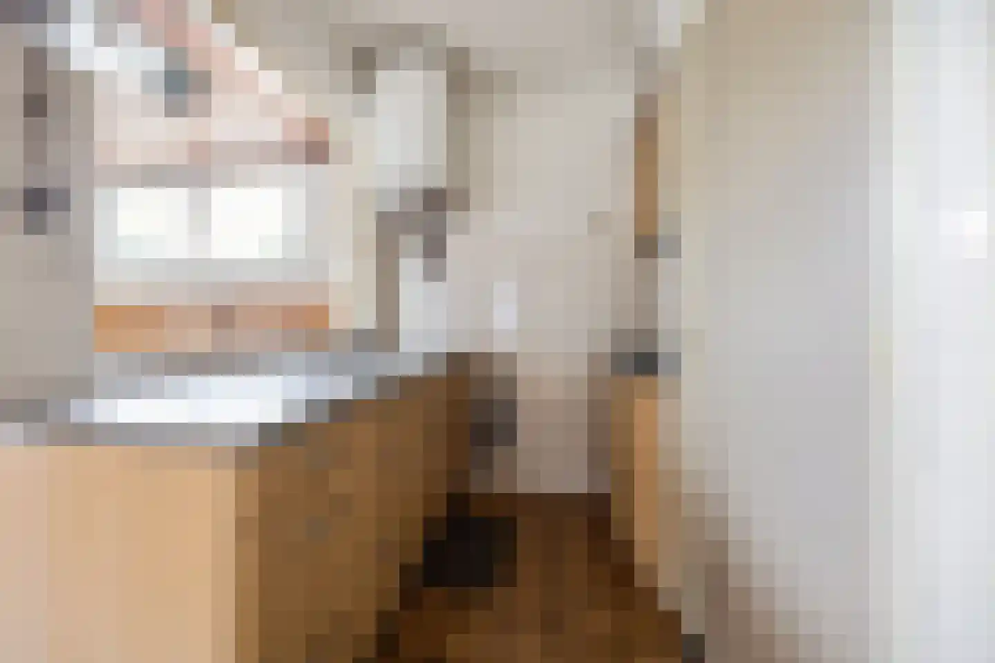 Piet Heinstraat 1 Druten thumbnail 9