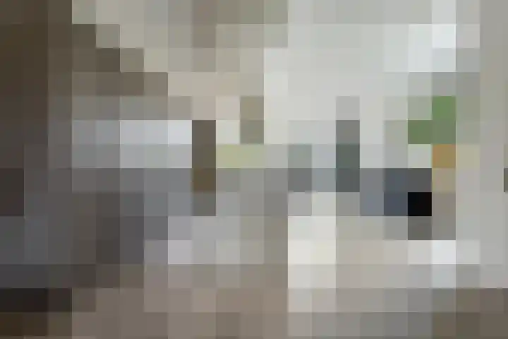 Piet Heinstraat 1 Eindhoven thumbnail 18