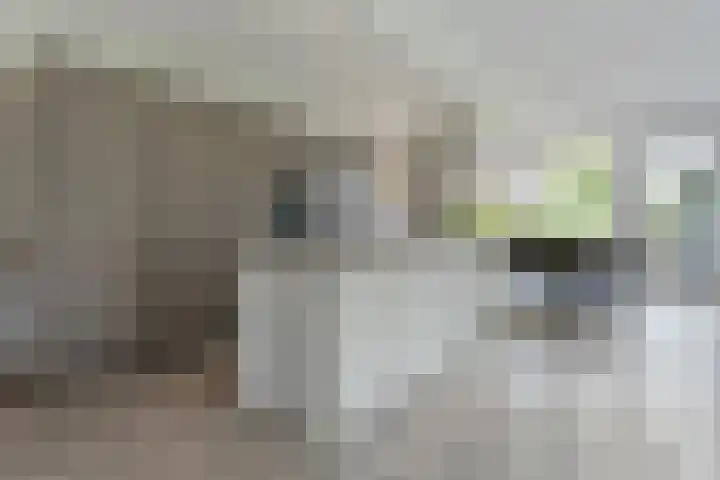 Piet Heinstraat 1 Eindhoven thumbnail 20