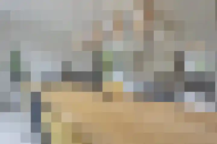 Piet Heinstraat 1 Eindhoven thumbnail 26