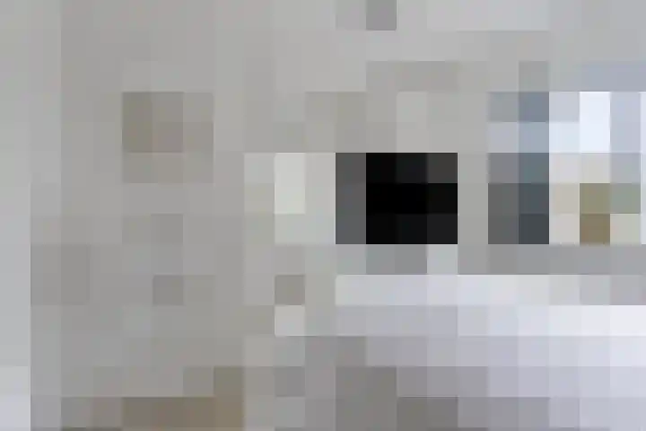Piet Heinstraat 1 Eindhoven thumbnail 34