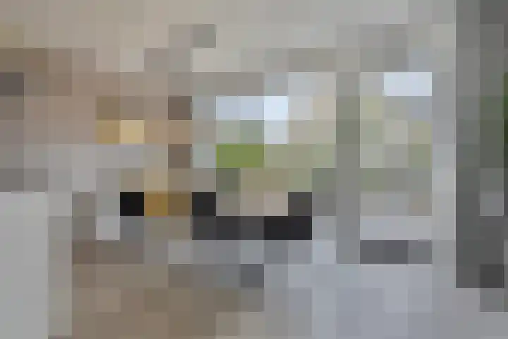 Piet Heinstraat 1 Eindhoven thumbnail 4