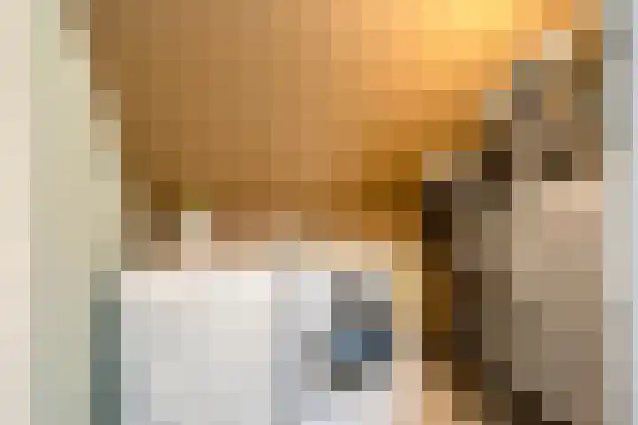 Piet Heinstraat 1 Eindhoven thumbnail 41