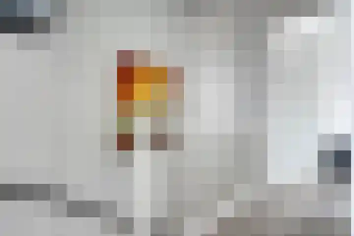 Piet Heinstraat 1 Eindhoven thumbnail 42