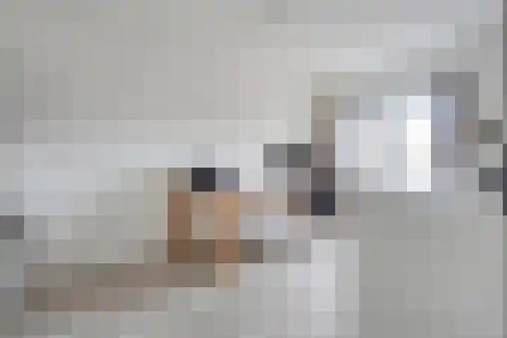 Piet Heinstraat 1 Eindhoven thumbnail 43