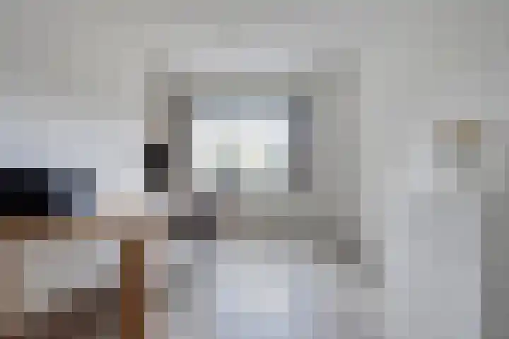 Piet Heinstraat 1 Eindhoven thumbnail 44