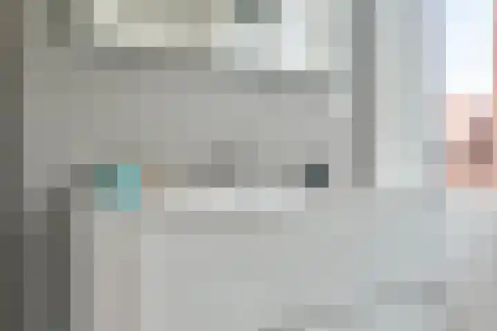 Piet Heinstraat 1 Eindhoven thumbnail 47