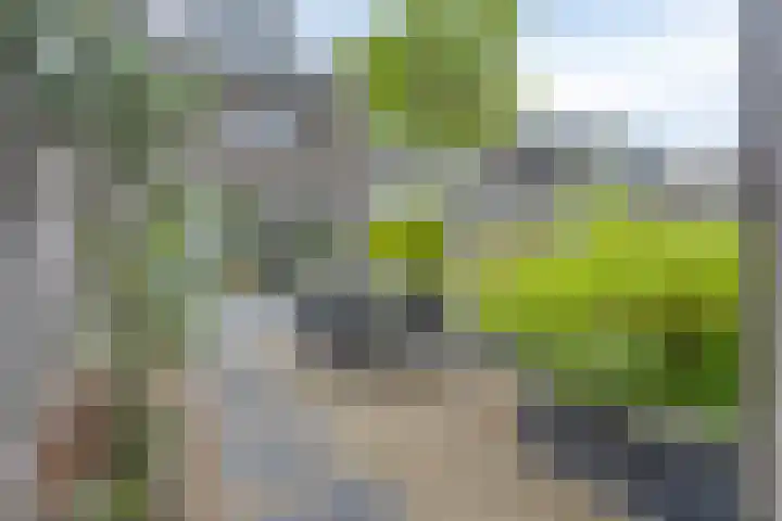 Piet Heinstraat 1 Eindhoven thumbnail 49