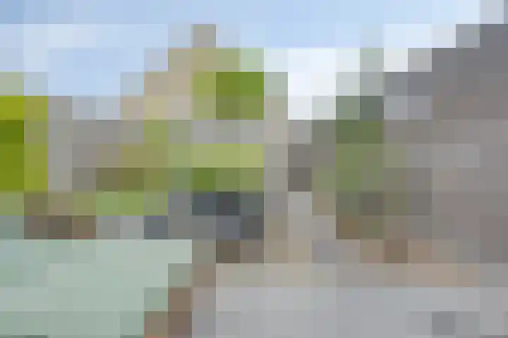Piet Heinstraat 1 Eindhoven thumbnail 51