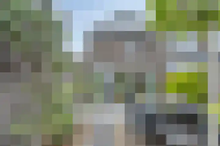 Piet Heinstraat 1 Eindhoven thumbnail 52