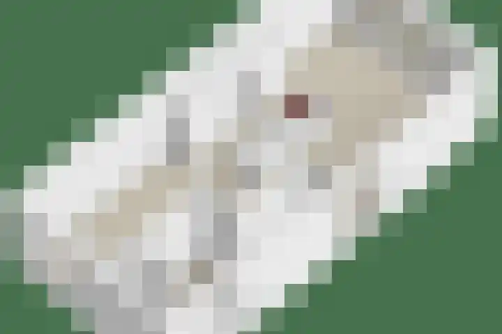 Piet Heinstraat 1 Eindhoven thumbnail 60