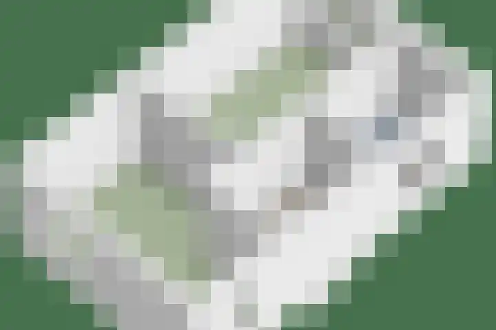 Piet Heinstraat 1 Eindhoven thumbnail 61