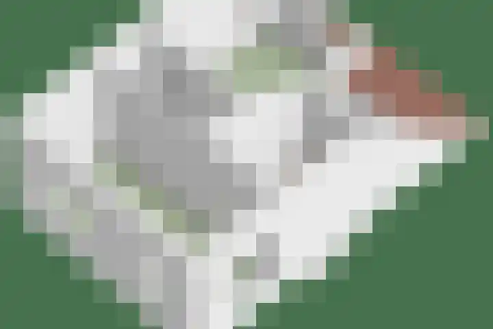 Piet Heinstraat 1 Eindhoven thumbnail 62