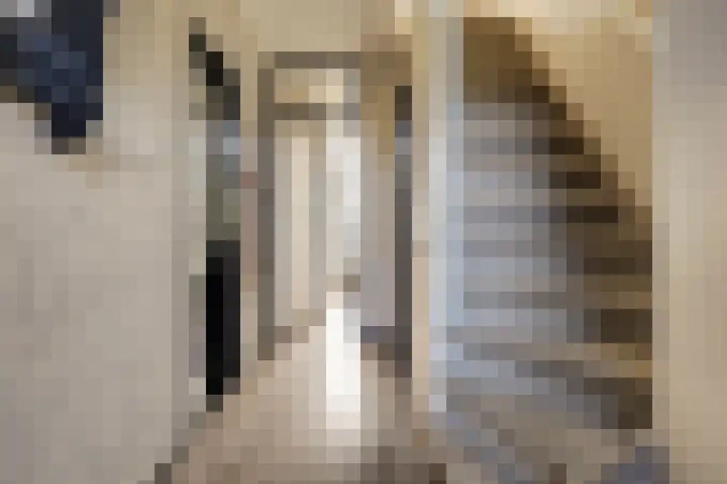 Piet Heinstraat 1 Hendrik-Ido-Ambacht thumbnail 10