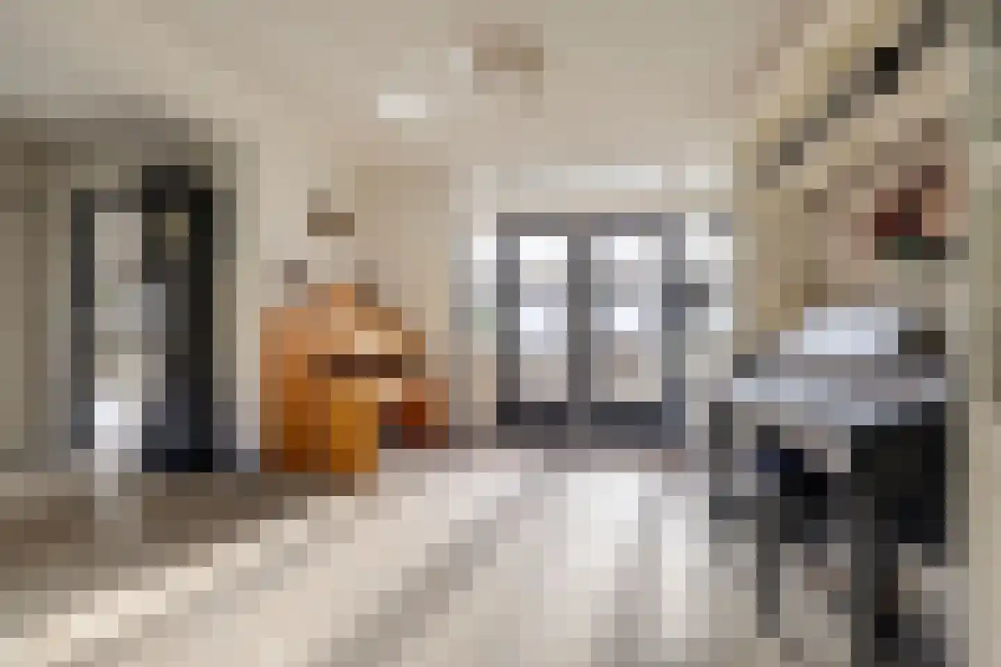 Piet Heinstraat 1 Hendrik-Ido-Ambacht thumbnail 18