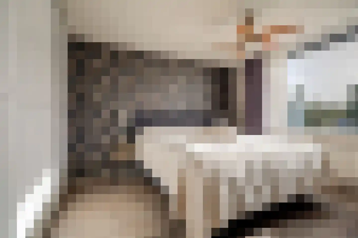 Piet Heinstraat 1 Hendrik-Ido-Ambacht thumbnail 30