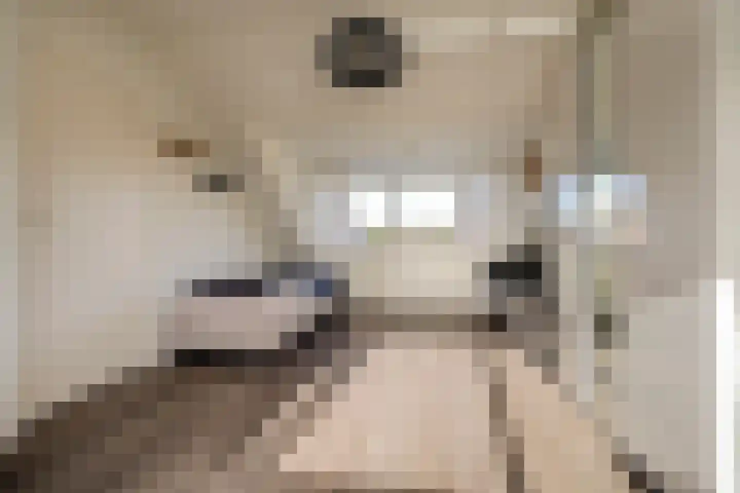 Piet Heinstraat 1 Hendrik-Ido-Ambacht thumbnail 35
