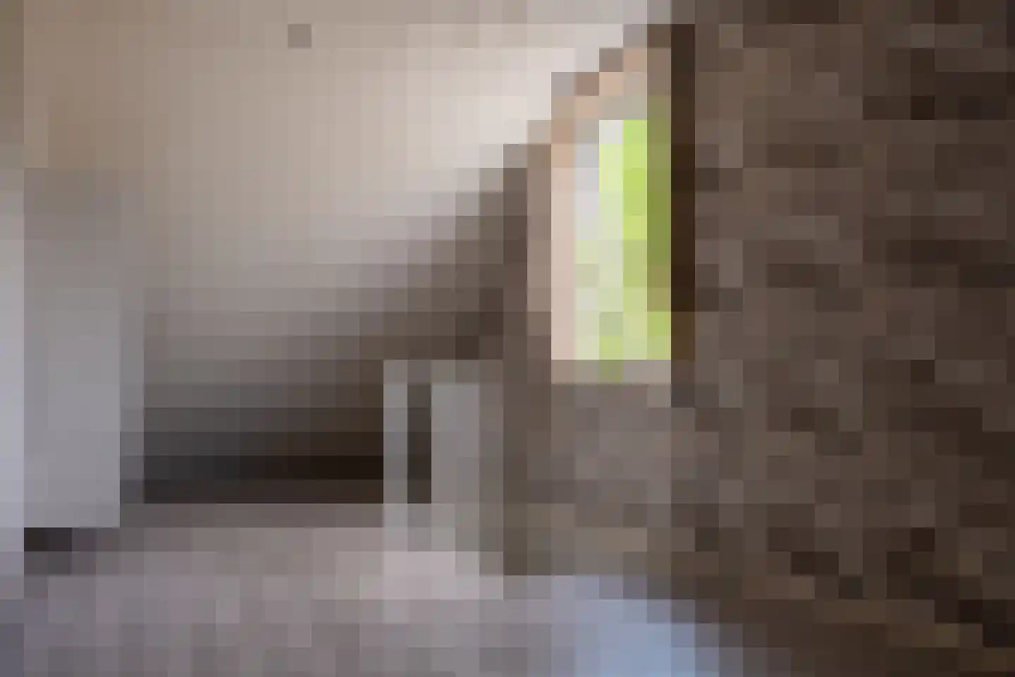 Piet Heinstraat 1 Hendrik-Ido-Ambacht thumbnail 36