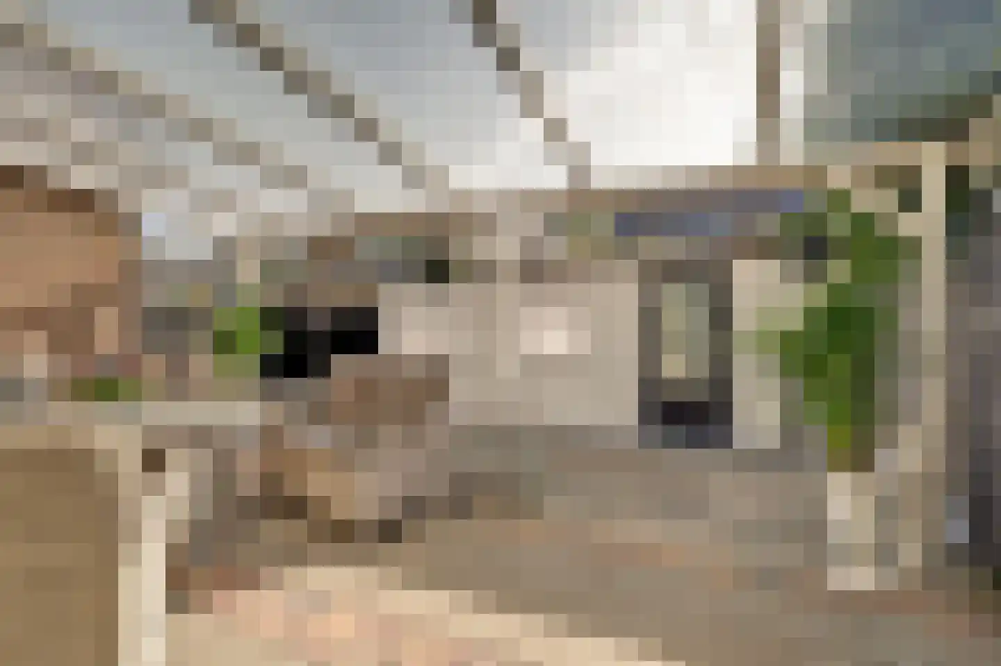 Piet Heinstraat 1 Hendrik-Ido-Ambacht thumbnail 38