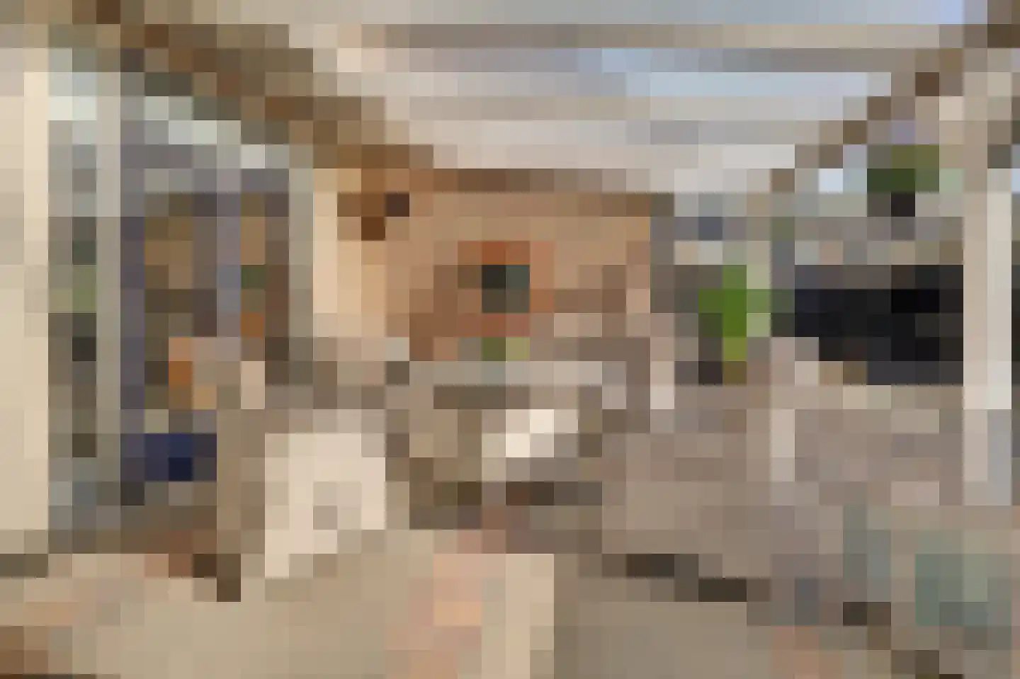 Piet Heinstraat 1 Hendrik-Ido-Ambacht thumbnail 39