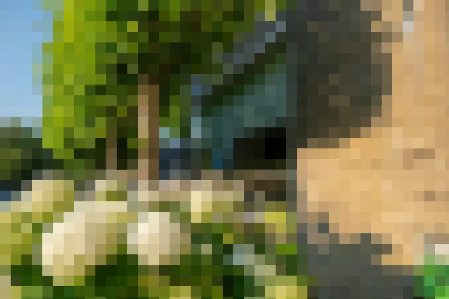 Piet Heinstraat 1 Hendrik-Ido-Ambacht thumbnail 8