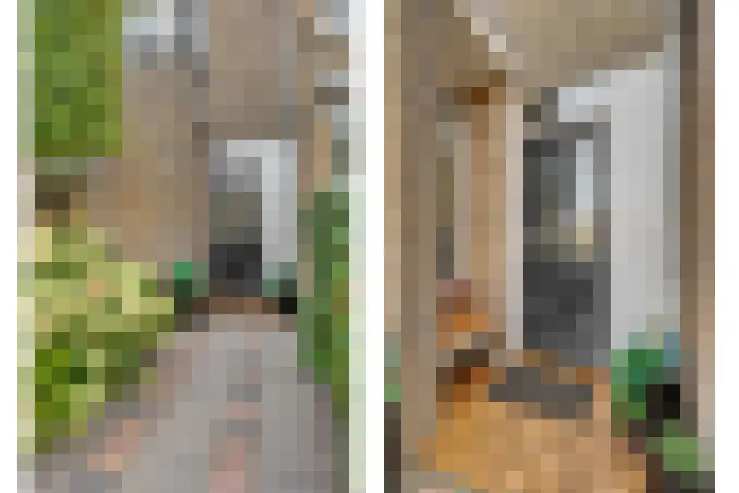 Piet Heinstraat 1 Hendrik-Ido-Ambacht thumbnail 9