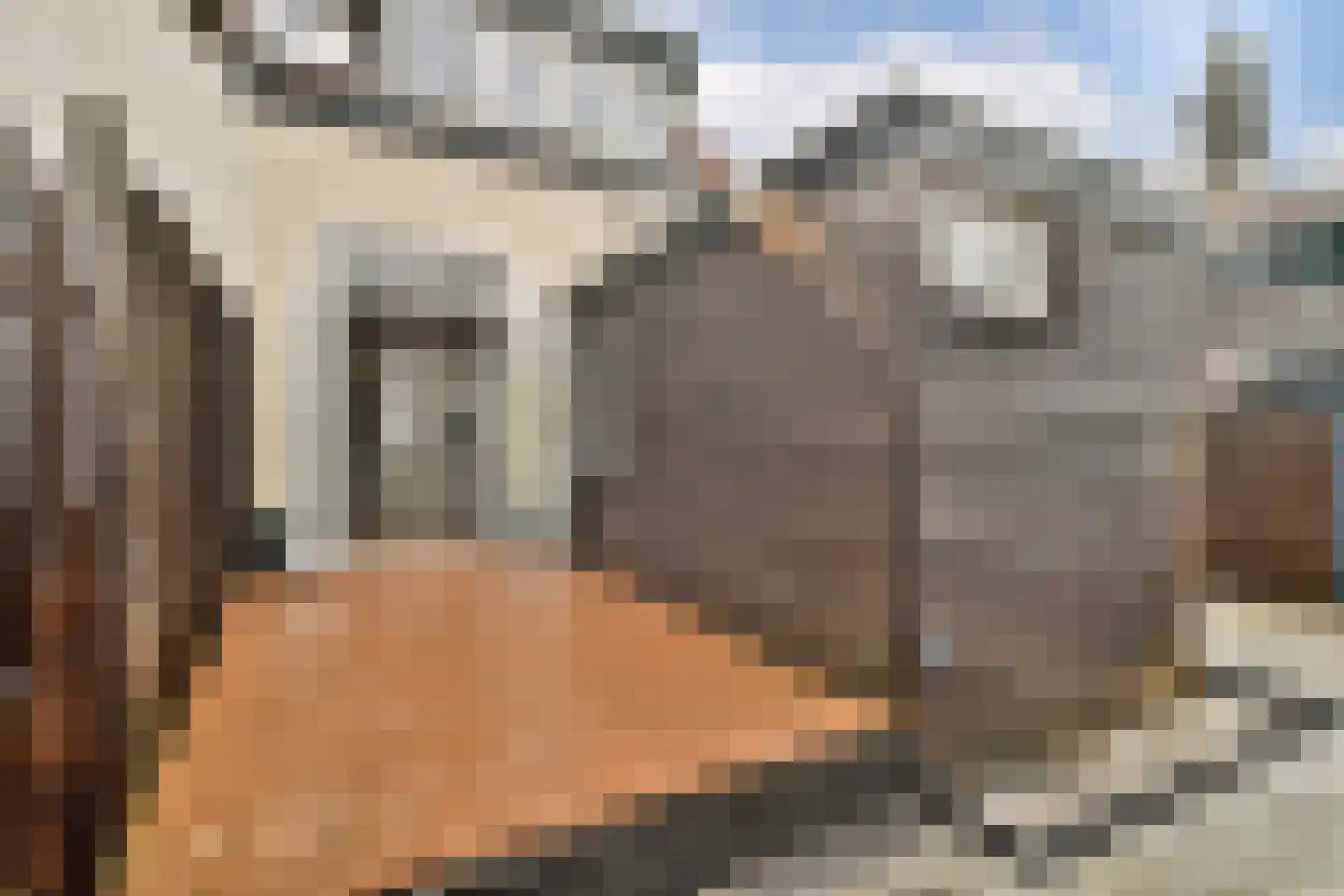Piet Heinstraat 1 Wormerveer thumbnail 14