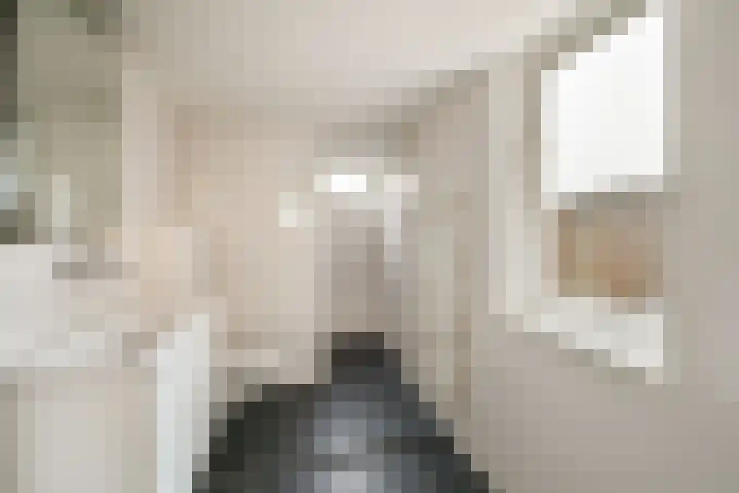 Piet Heinstraat 1 Wormerveer thumbnail 15