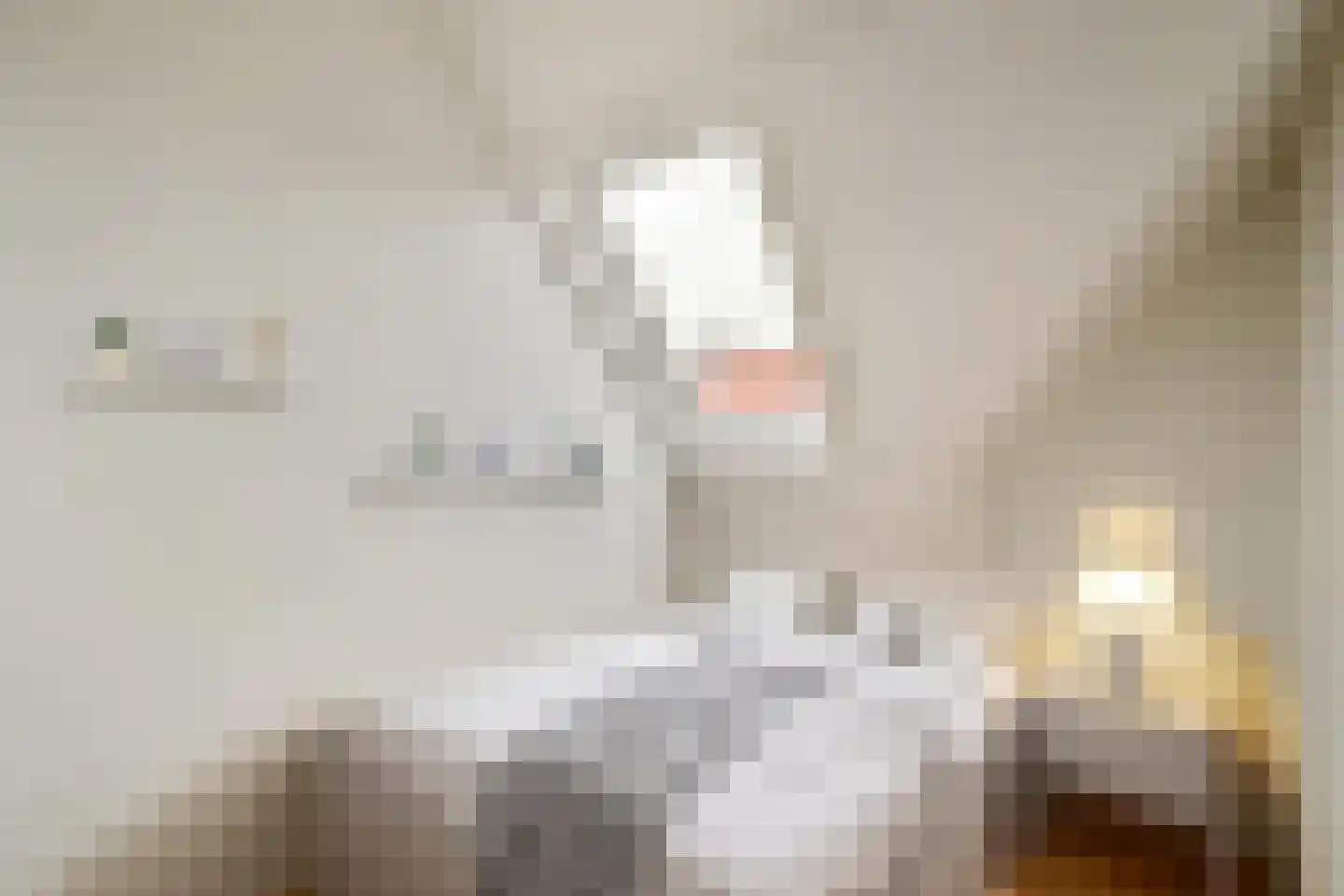 Piet Heinstraat 1 Wormerveer thumbnail 28
