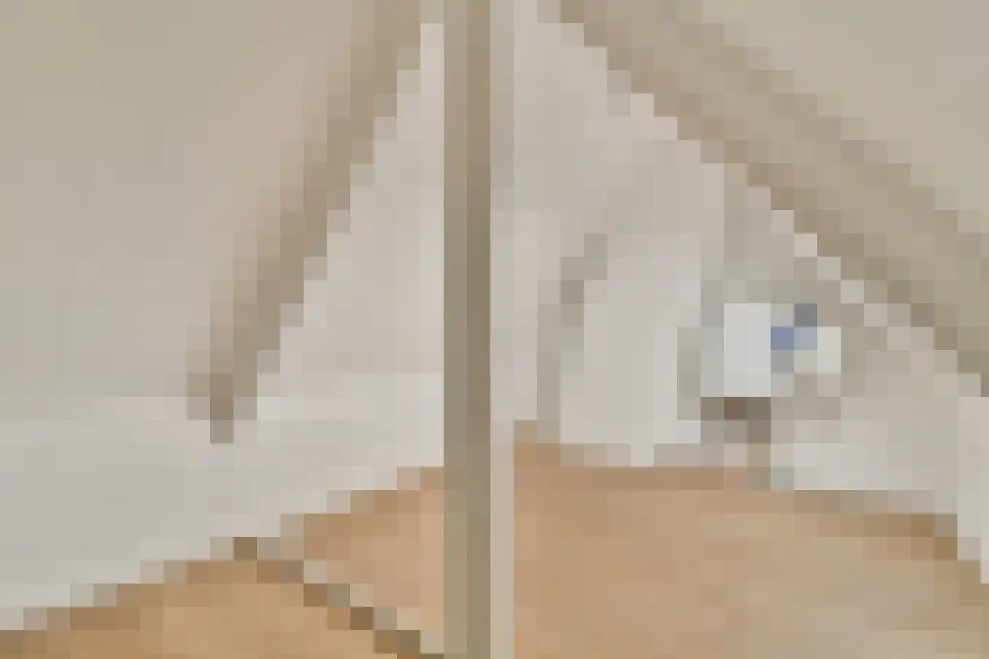 Piet Heinstraat 1 Wormerveer thumbnail 30
