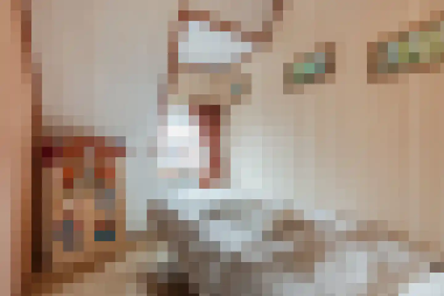 Piet Heinstraat 10 Bergen op Zoom thumbnail 25