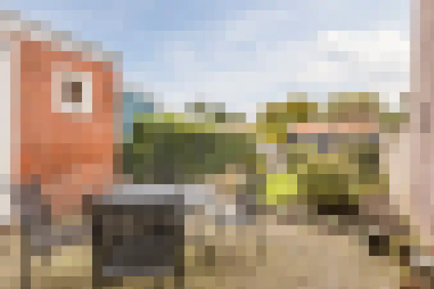 Piet Heinstraat 10 Bergen op Zoom thumbnail 37