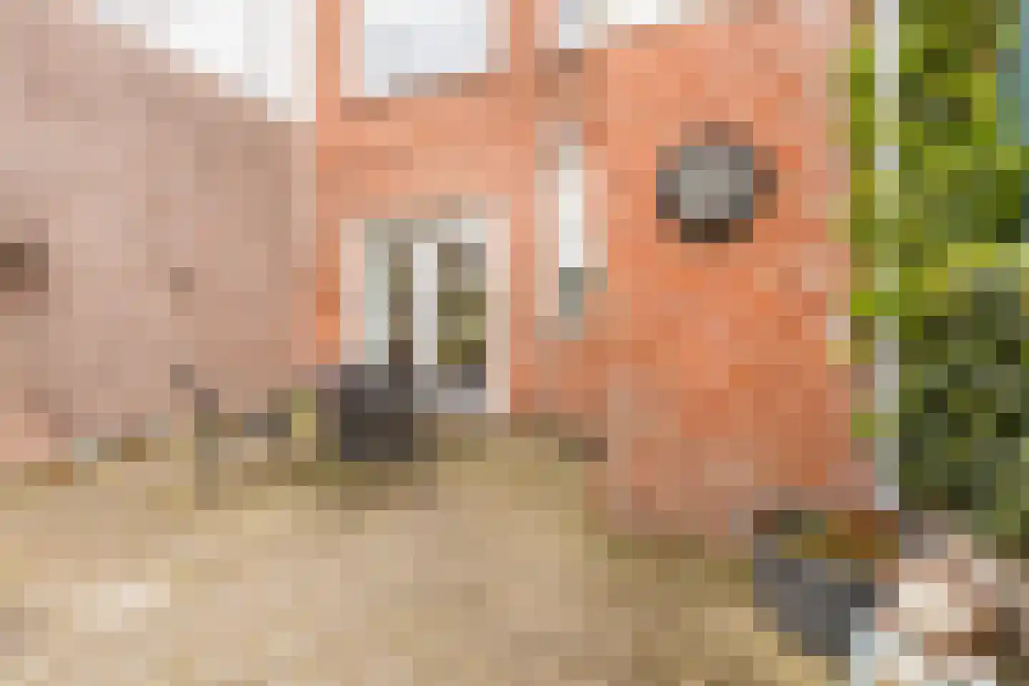 Piet Heinstraat 10 Bergen op Zoom thumbnail 38